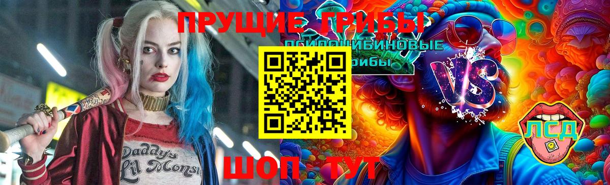 Галлюциногенные грибы Psilocybe Рузаевка