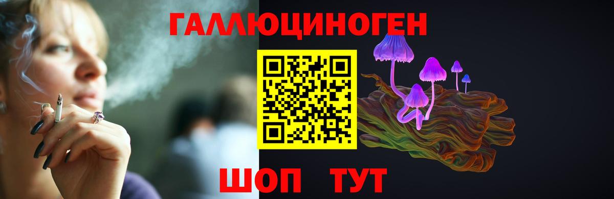Псилоцибиновые грибы Psilocybe  Псилоцибиновые грибы Psilocybe  Вход с VPN  Рузаевка 